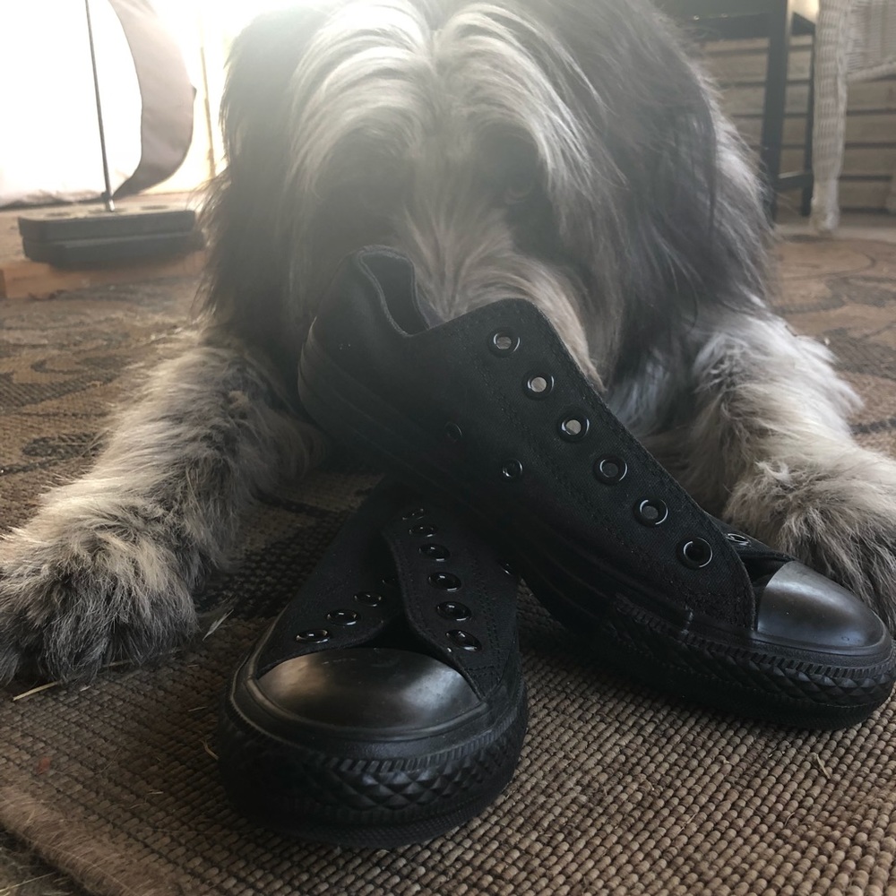 Converse All Stars